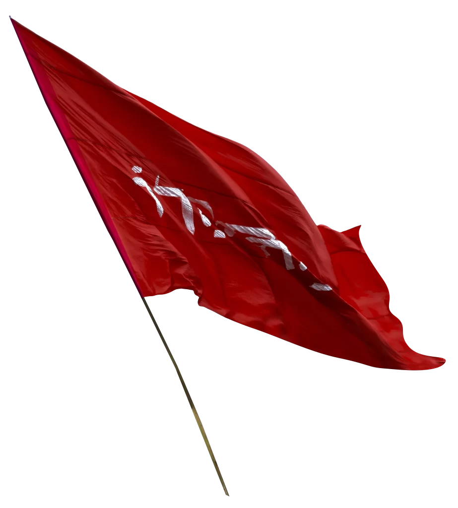 hussainiyat flag