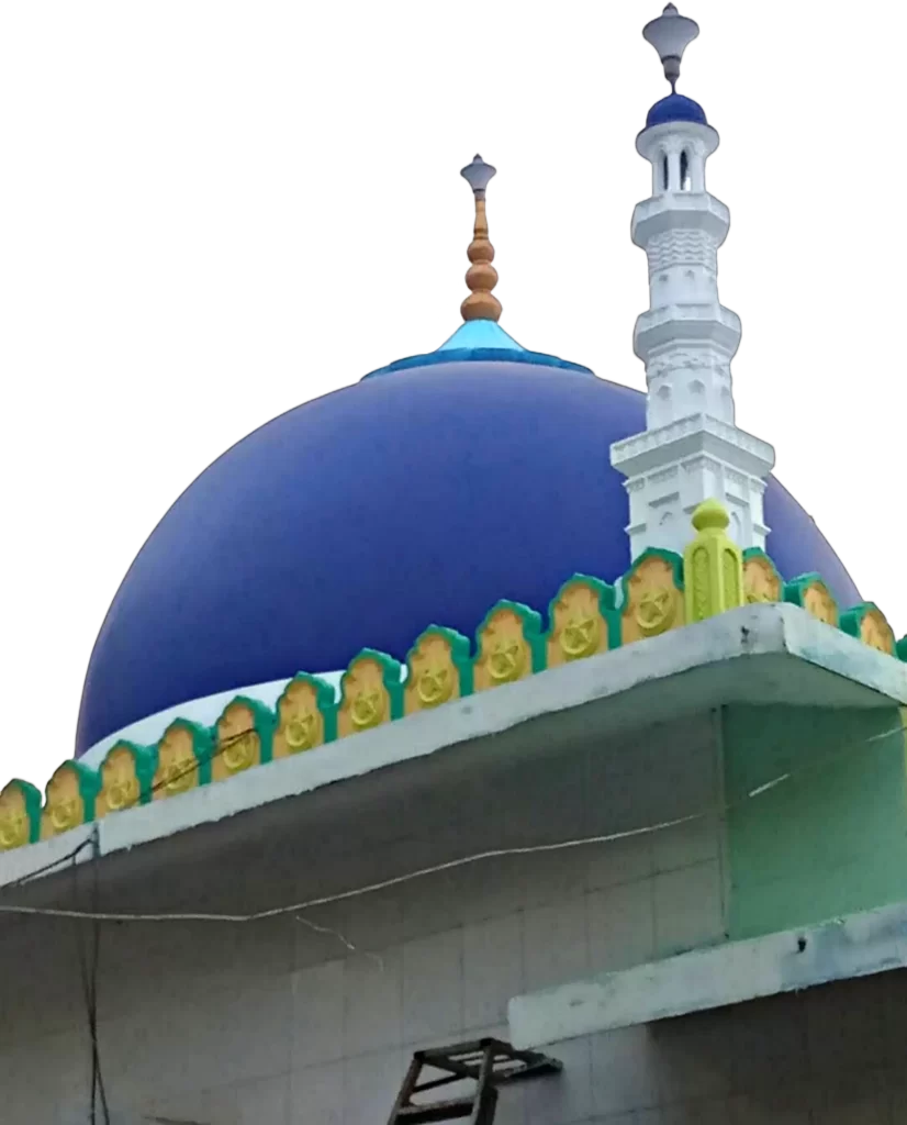 Zaheer e Millat dome png