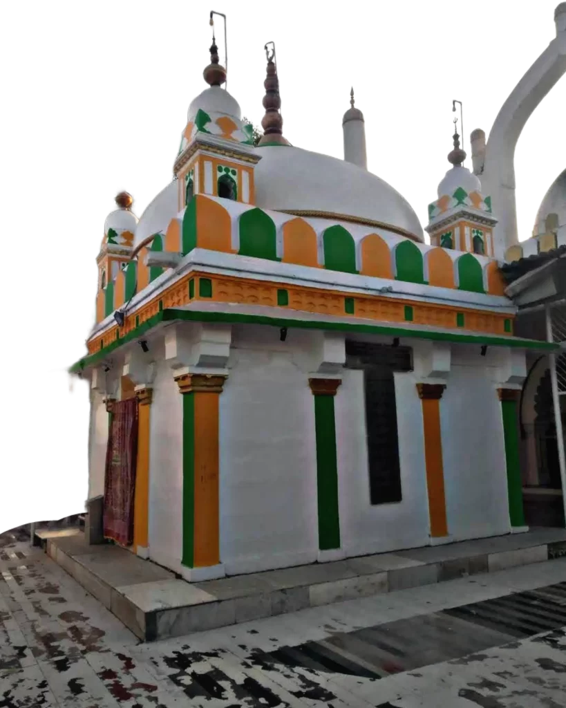 another view of khwaja sultan burhanuddin png