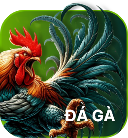 Thump đá gà